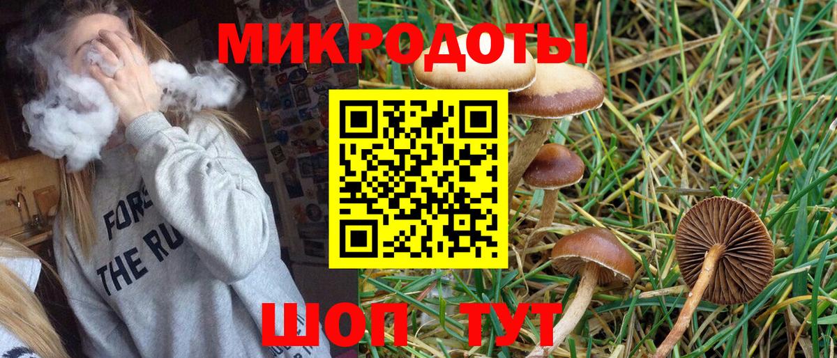 Псилоцибиновые грибы GOLDEN TEACHER Семёнов