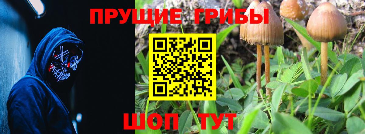 Семёнов  Галлюциногенные грибы MAGIC MUSHROOMS  Вход с VPN  Псилоцибиновые грибы мицелий 